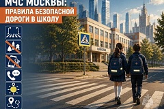 МЧС Москвы: правила безопасной дороги в школу